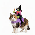 Halloween Witch Rider Pet Costume – Cat & Dog